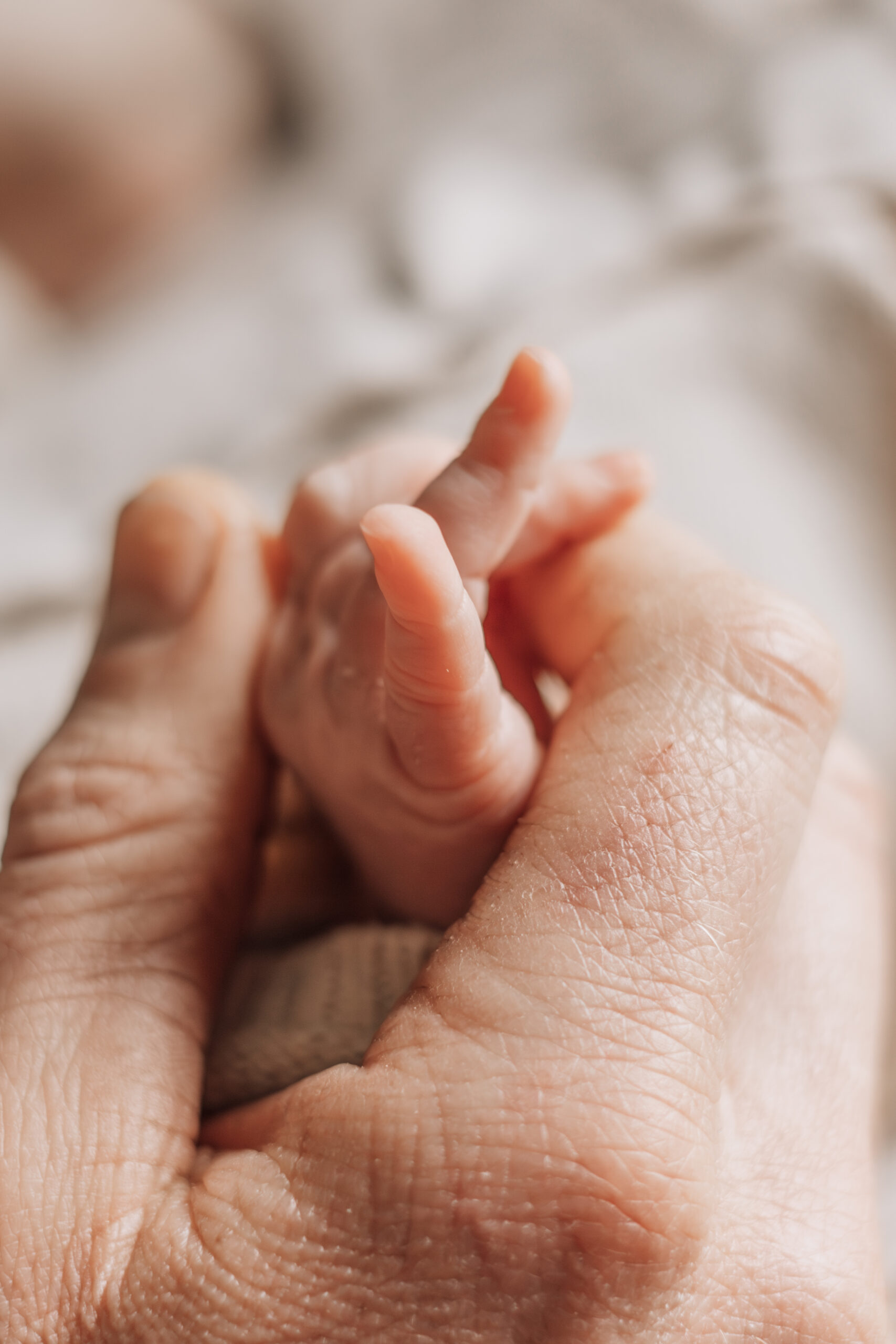 Newborn lifestyle shoot - Hasselt - Zwolle - Genemuiden - Zwartsluits - Overijssel